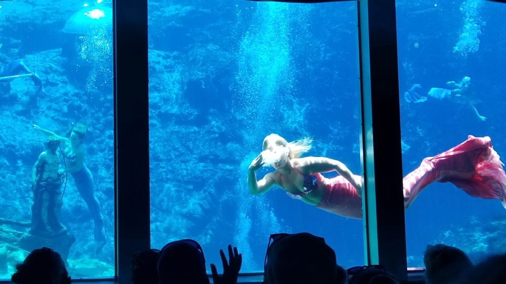 Underwater Mermaid Show Weeki Wachee State Park