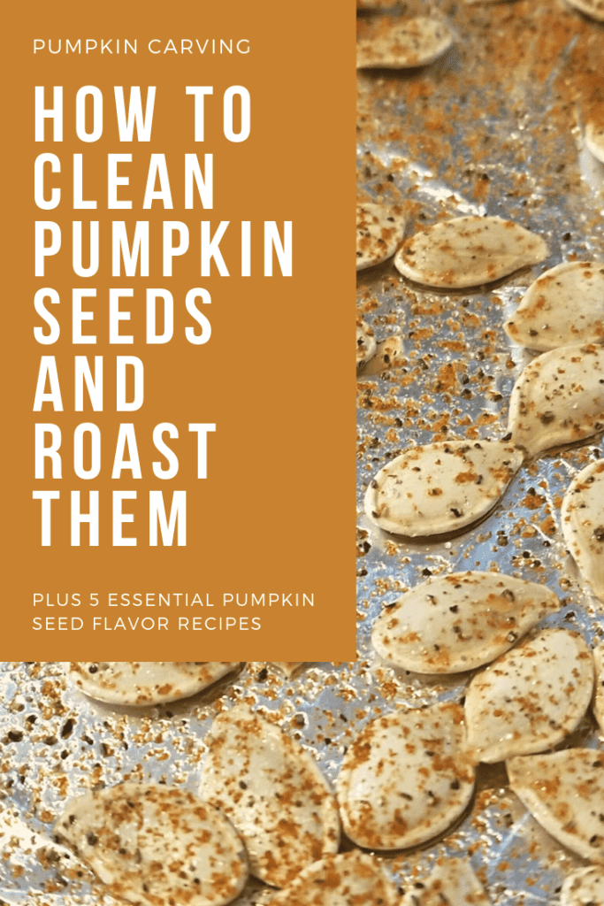 How to clean pumpkin seeds and roast them on The ArtsyFartzy Experience blog with 5 essential pumpkin seed flavor recipes