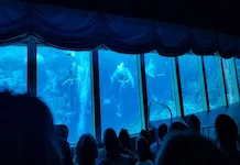 Weeki Wachee Mermaid Show Underwater Theatre in Florida