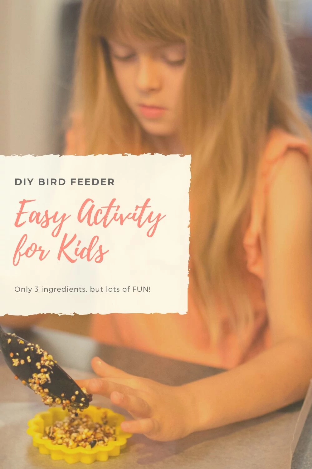 Easy activity for kids homemade bird feeder