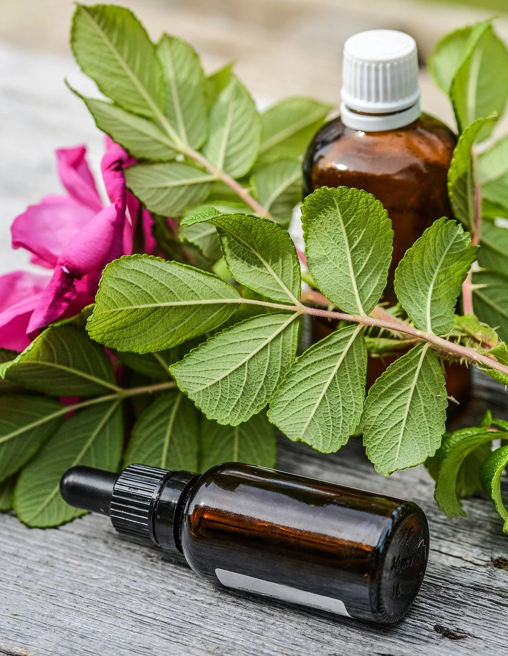 essential oil for mosquito bites in dark brown glass bottles